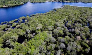 Amazonia-Foto-Agencia-Brasil