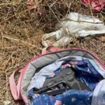 Arma-usada-por-mulher-suspeita-de-matar-guarda-municipal