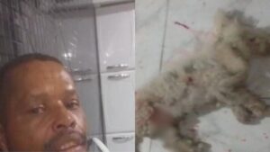 Cachorro-e-tutor-sao-mortos-a-tiros-dentro-de-casa-na-Bahia-animal-e-encontrado-ao-lado-do-corpo-do-dono