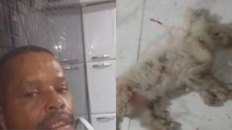 Cachorro-e-tutor-sao-mortos-a-tiros-dentro-de-casa-na-Bahia-animal-e-encontrado-ao-lado-do-corpo-do-dono