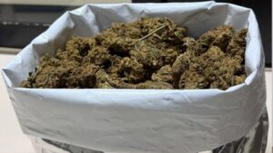 Colete-a-prova-de-balas-maconha-01