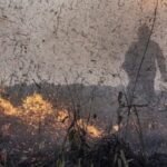 Defesa-Civil-Nacional-trabalha-para-agilizar-o-reconhecimento-de-situacao-de-emergencia-e-a-liberacao-de-recursos-para-os-municipios-Foto-Mayangdi-Inzaulgarat-Ibama