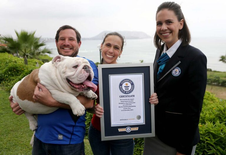 Guinness-Book