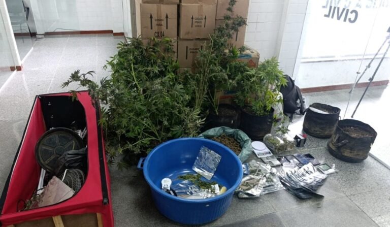 Homem-e-preso-apos-PM-encontrar-estufa-com-maconha-em-Feira-de-Santana-foto-divulgacao-