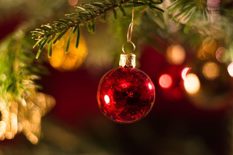 Natal-2
