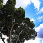 Ondas-de-Calor-fotos-Acm