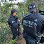 Operacao-Divisa-Segura-