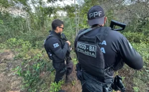 Operacao-Divisa-Segura-