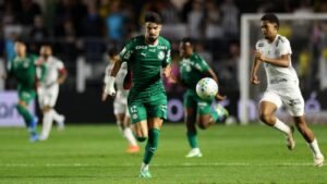 Palmeiras-em-jogo-contra-a-equipe-do-Santos-FC-Foto-Cesar-Greco-Palmeiras-291026-2