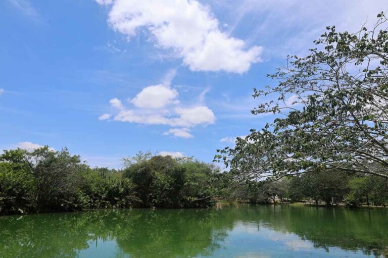 Parque-de-Feira-de-Santana