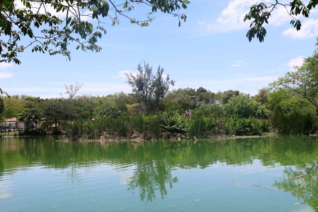 Parques-municipais-Foto-Gabriel-Calazans