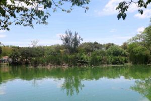 Parques-municipais-Foto-Gabriel-Calazans