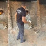 Policia-Civil-incinera-drogas-apreendidas-em-operacoes-no-nordeste-da-Bahia-Foto-Divulgacao-Ascom-PCBA