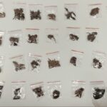 Suspeito-de-trafico-e-conduzido-a-delegacia-com-32-porcoes-de-maconha-Foto-Reproducao-Peto-6502