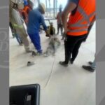 Trabalhador-de-empresa-terceirizada-da-BYD-morre-apos-cair-de-13-metros-Foto-Redes-Sociais