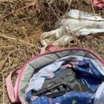 arma-encontrada-na-bolsa