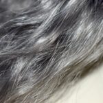 cabelo