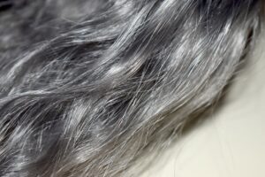 cabelo