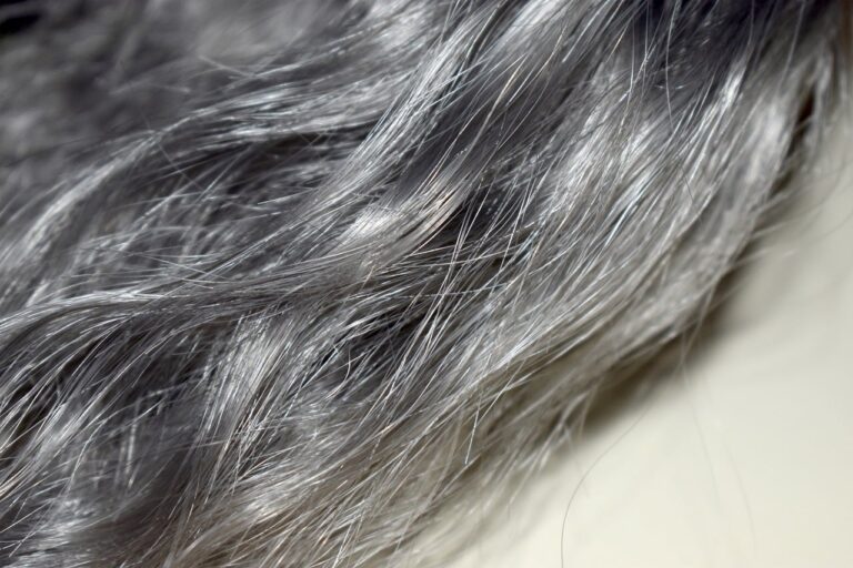 cabelo