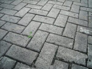 concreto