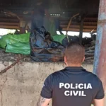 drogas-incineradas-em-Serrinha-