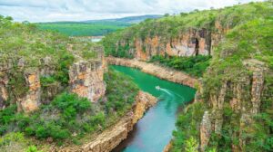 images-6
