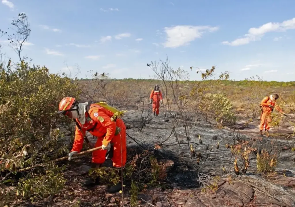 incendios