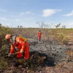 incendios