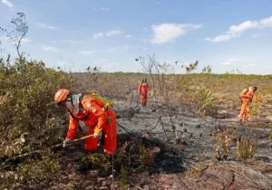 incendios