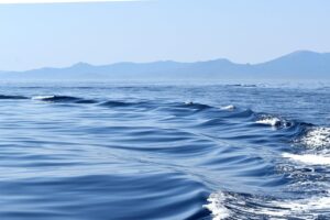 oceano