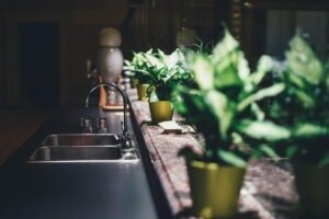 plantas